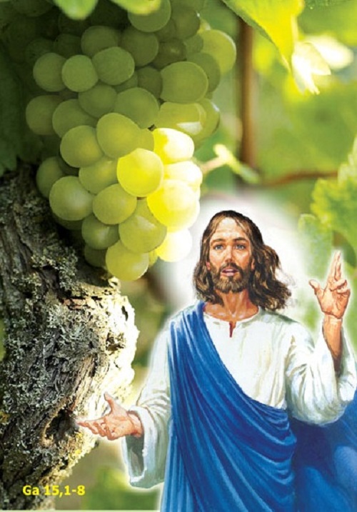 ga15_1-8 Ga15_1-8.jpg