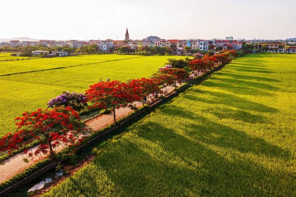 duong20hoa20nam20vien202 Duong Hoa Nam Vien 2.jpg (1.20 MB)